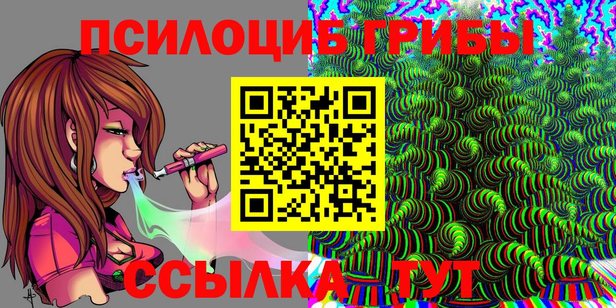 Псилоцибиновые грибы Psilocybine cubensis Павлово
