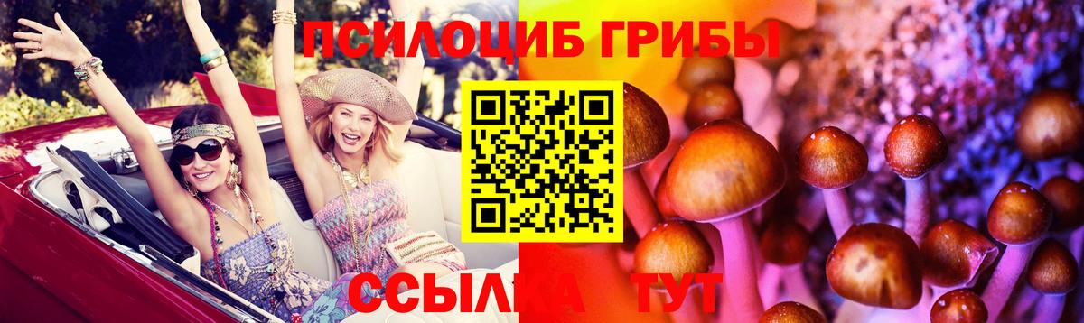 Галлюциногенные грибы Psilocybe  Вход с VPN  Павлово  Галлюциногенные грибы MAGIC MUSHROOMS 